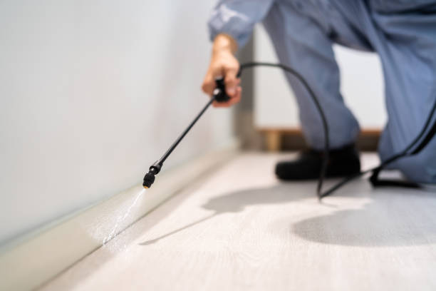 Licensed Pest Control service in Point Roberts, WA - Show Me Pest Control