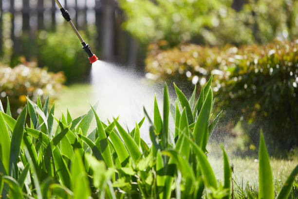Tamper-Resistant Bait Stations for Rodents in Point Roberts